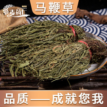 同仁堂中药材狗鞭 黄狗肾 泡酒鞭 新鲜干鞭 泡酒料鞭 滋补鞭泡酒