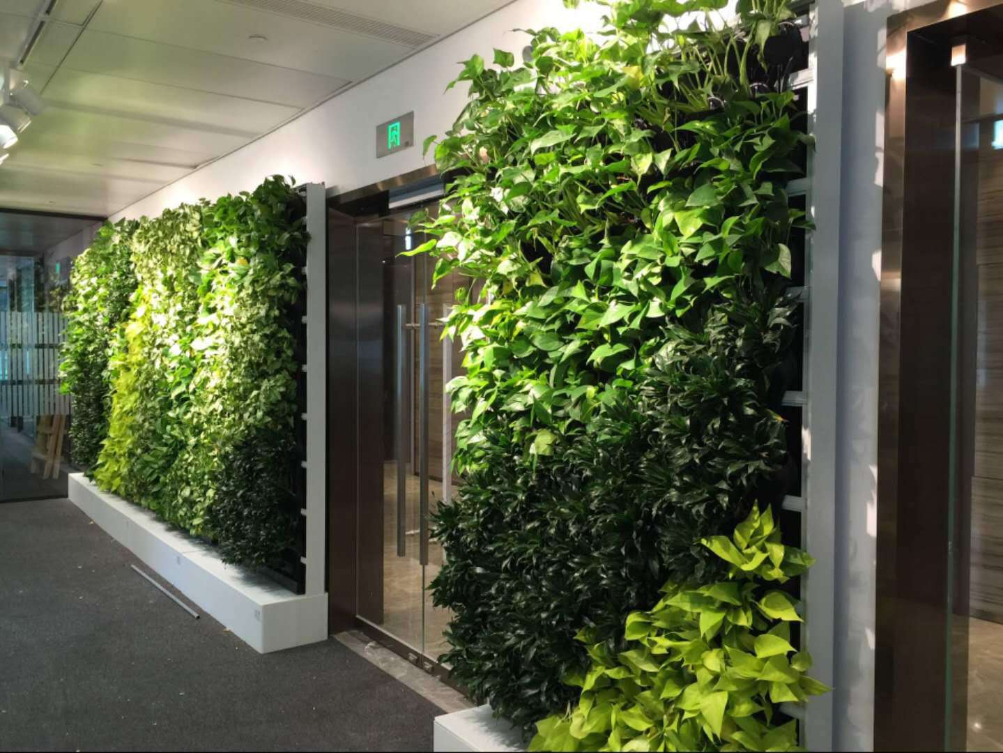 垂直绿化植物墙种植槽壁挂立体绿化墙生态绿植墙种植盒植物墙花盆