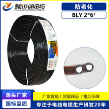 BLY黑色两芯防老化铝电线 2*6平方户外用耐候铝电缆 国标电力电缆