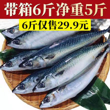青占鱼鲐鱼鲐鲅鱼整条新鲜冷冻零食青花鱼深海海鱼海鲜水产批发
