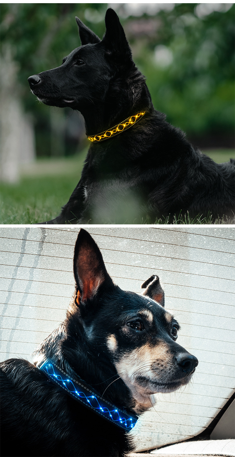 绳绣led发光宠物项圈usb充电夜间警示防丢失狗围脖狗狗项圈