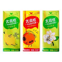 太魔性柠檬红茶ml茉莉花茶盒整整箱经典风味茶饮料夏日