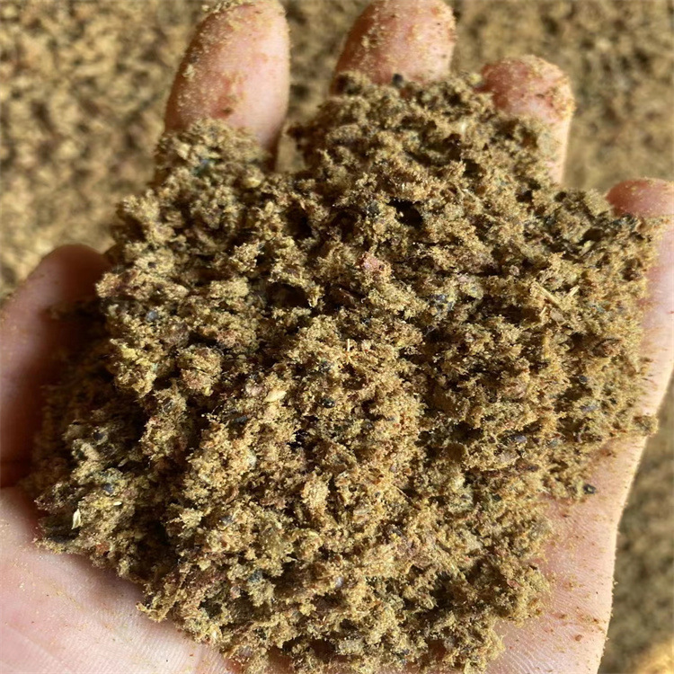 膨化棉籽反刍动物饲料 肉牛肉羊育肥用油脂高过瘤胃 棉籽膨化棉籽