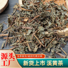 批发供应散装溪黄茶 霉茶 溪黄草 藤茶花草茶跑江湖地摊展会货源