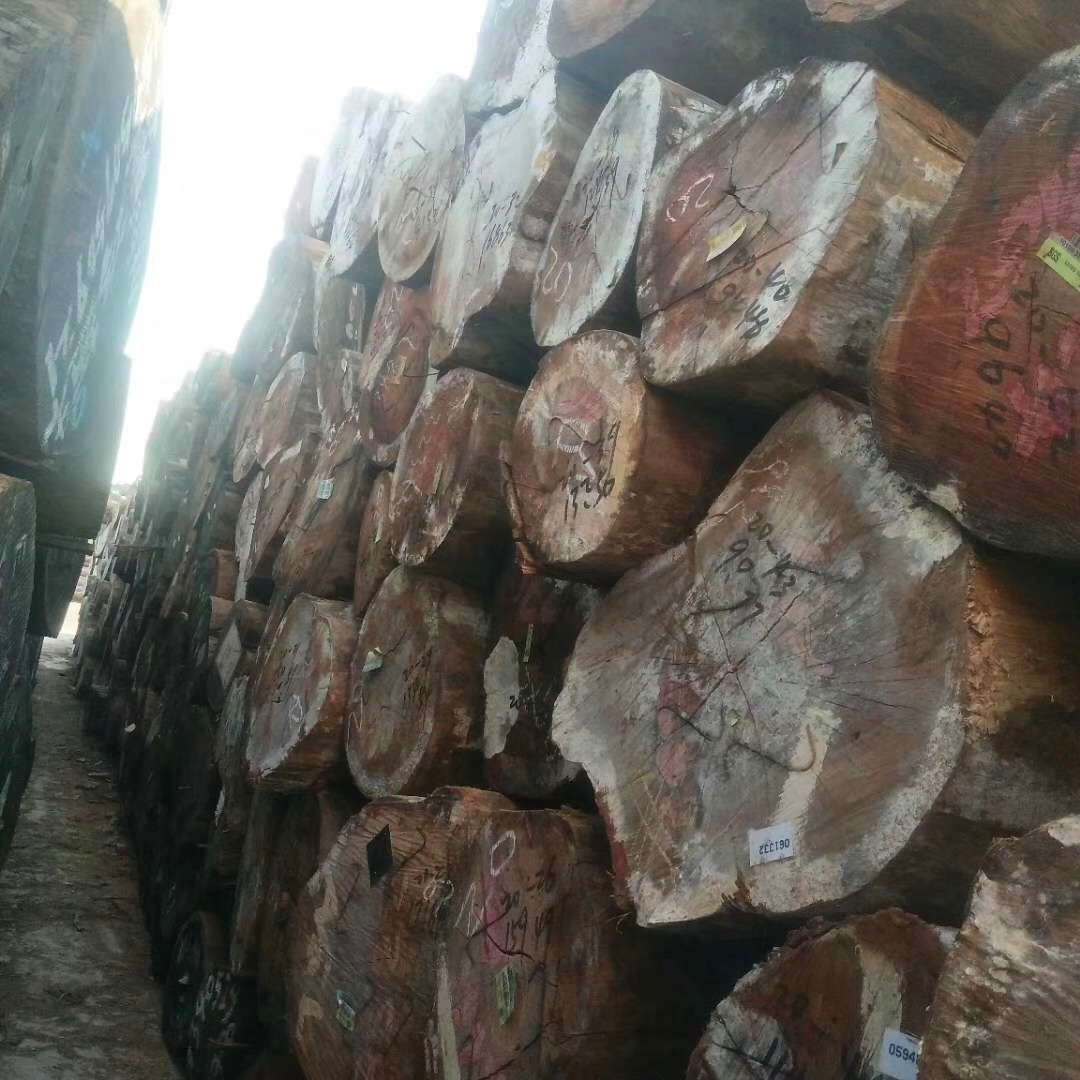 常年大量巴新米仔兰原木agl米仔兰家具材供应