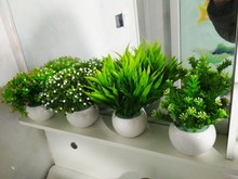 包仿真绿植塑料家居书桌柜迷你装饰仿真园艺仿真植物办公文化