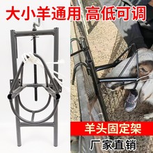 剪羊毛固定架农场羊棚畜牧业固定器架升降绵阳打针输液保定架剃毛