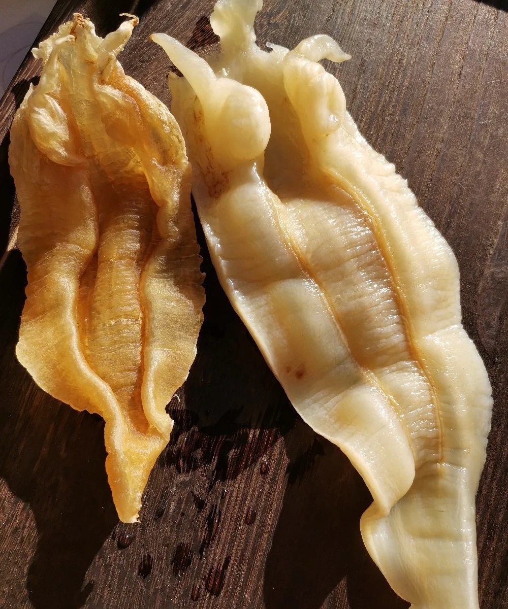 8年苏里南北海鳘鱼胶公胶苏里兰北海公肚花胶鱼肚老货产地批发