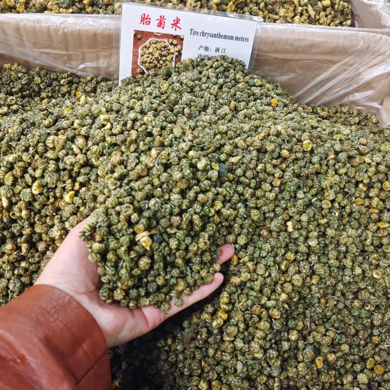 批发菊花七月菊胎菊米正宗桐乡杭白菊正品杭州胎菊花新花