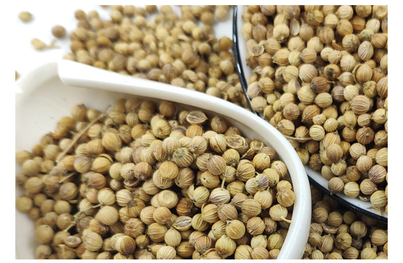 批发香菜籽芫茜籽调料包香料川菜调味品卤料菜籽现货供应芹菜籽