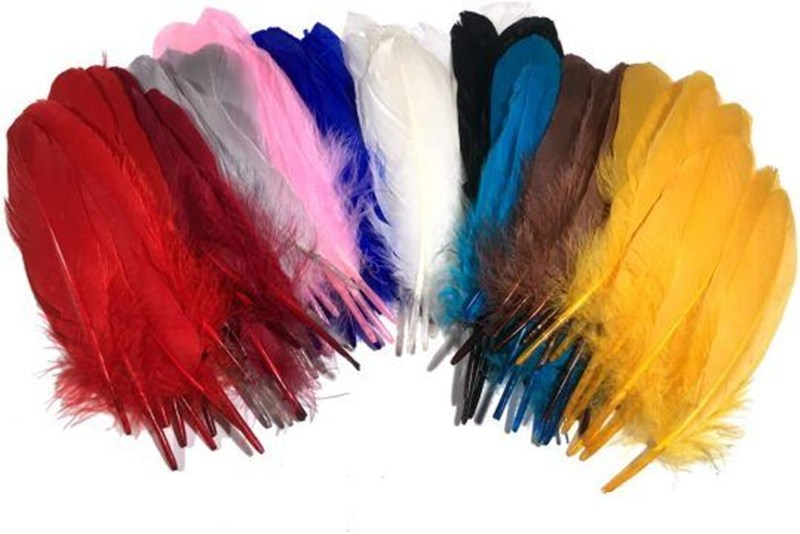 鹅毛 厂家直售货源 大飘硬管飘毛 羽毛批发染色加工