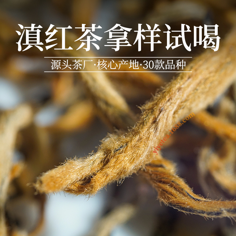 拿样试喝 凤庆滇红茶批发小样先尝后购 云南凤庆红茶品尝补差改价