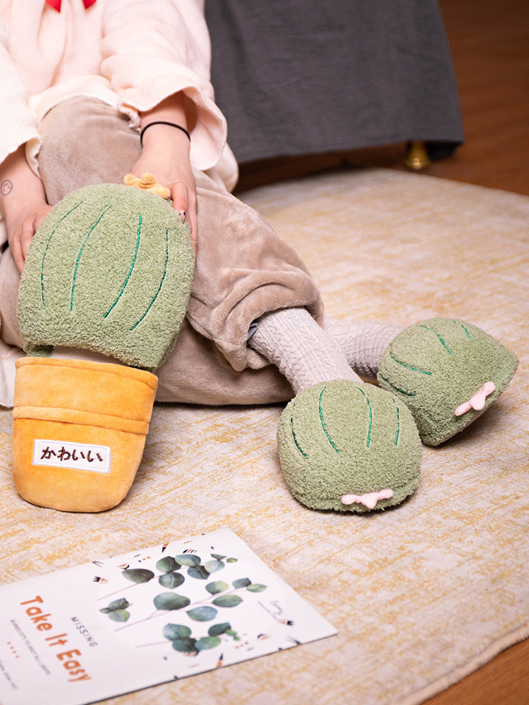 ins创意卡通仙人掌情侣家居拖鞋毛绒地板拖保暖静音防滑拖鞋跨境