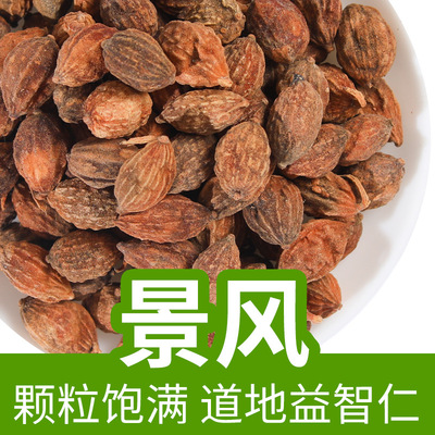 批发 益智仁 益智子 砂仁香料散装 量大价优