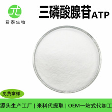 atp三磷酸腺苷 100g/袋 支持检测 三磷酸腺苷 粉末 原料
