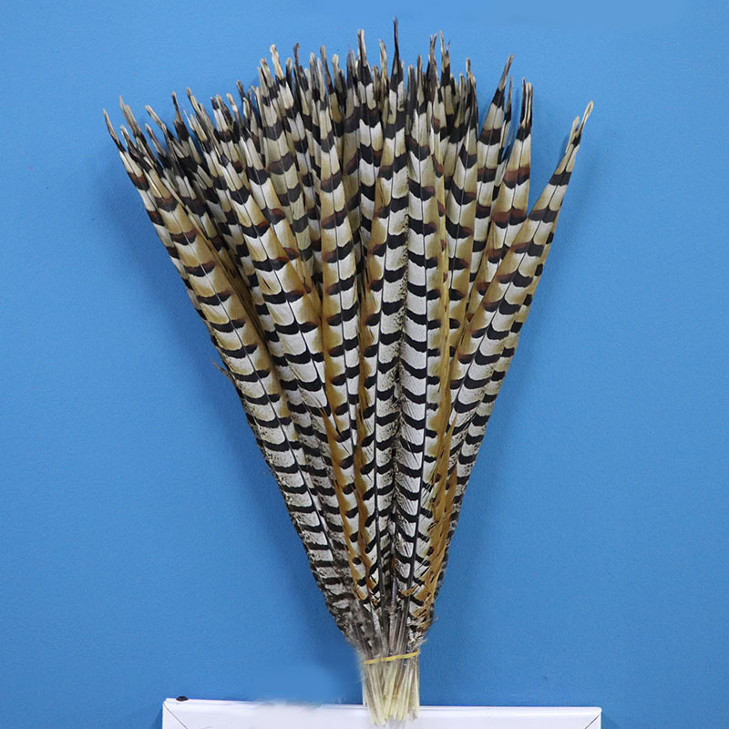 厂家批发地鸡尾毛5560cm野禽毛地鸡翎子京剧俏花旦舞台演出饰品