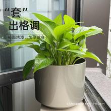 绿萝盆栽塑料套盆无孔花盆室内绿植北欧简约加厚大号口径水培容器