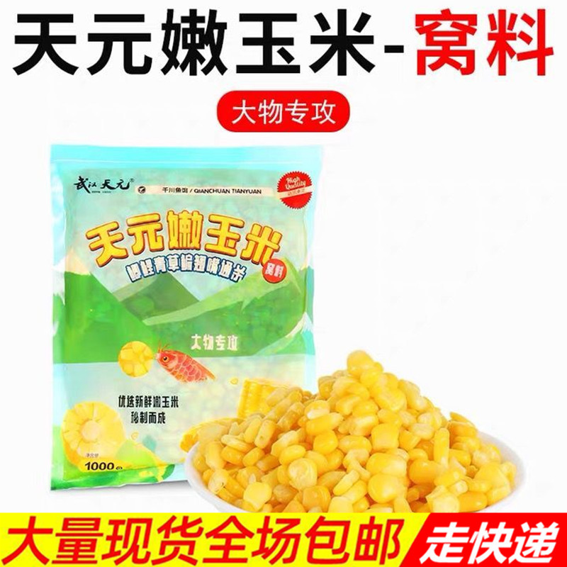 武汉天元嫩玉米窝料饵料鱼饵打窝野钓玉米粒钓饵鲤鱼翘嘴草鱼专用