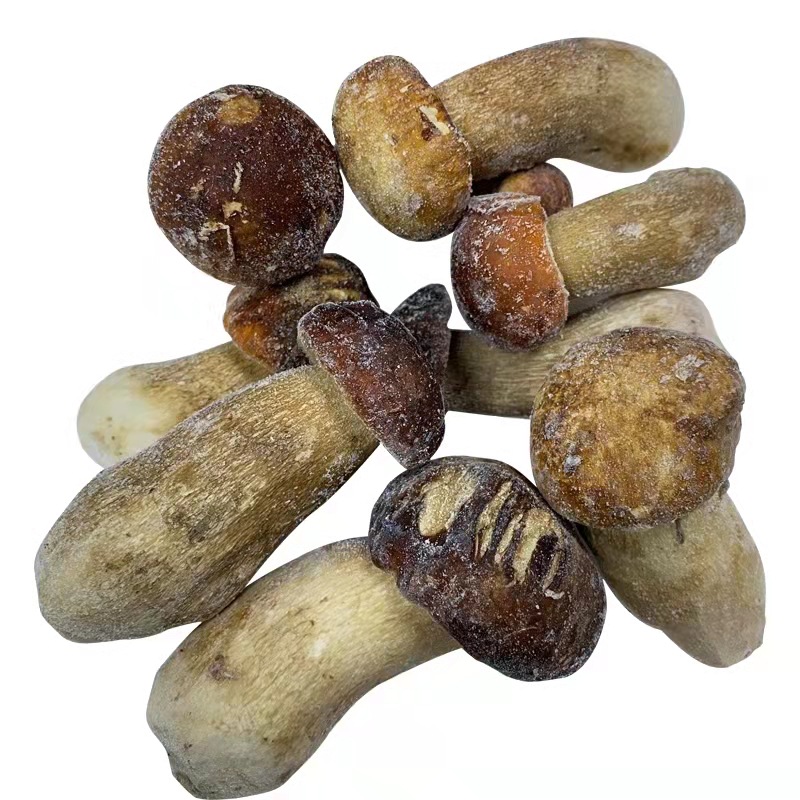 云南野生菌批发 冻牛肝菌 冰冻美味牛肝菌 冰冻黄牛肝 冰冻白葱