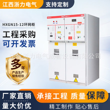 HXGN15-12型环网柜 户外高压配电柜 10KV高压环网柜隔离柜固体柜