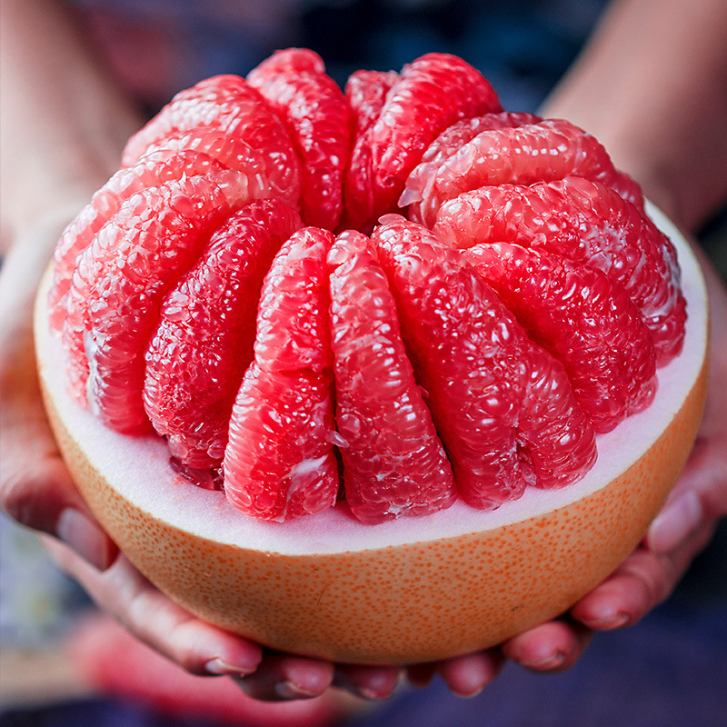 梅州正宗三红肉蜜柚子红心带箱10斤大果现摘现发中秋礼盒新鲜水果