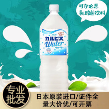 日本进口calpis可尔必思乳酸菌饮料整箱大瓶1.5L益生菌酸奶饮料