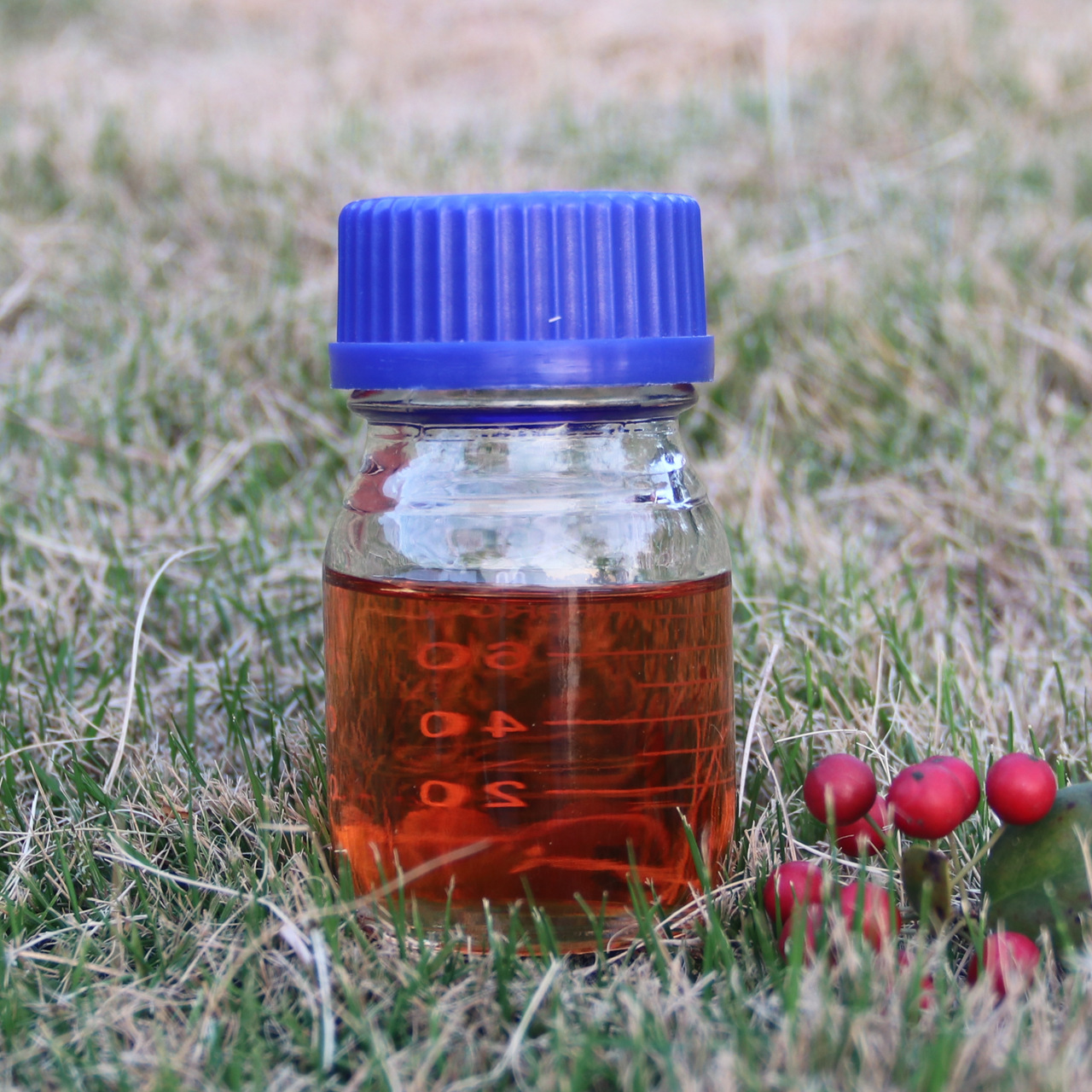 供应紫草油紫草精油紫草浸泡油 护肤按摩油 diy基础油量大价优