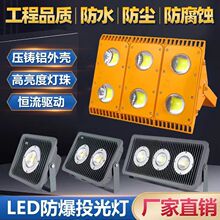 隧道灯led防爆灯仓库户外灯100W200w加油站船用低压24V 36V投光灯