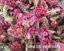 鸡冠花统装 500g 产地山东 振兴药材购销站 量大从优 一站式采购