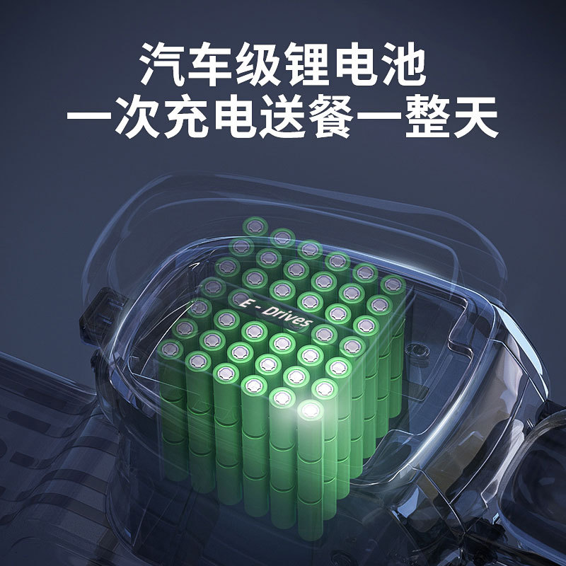 009新国标外卖电动自行车美团专用送餐车锂电池长跑王代步电瓶车