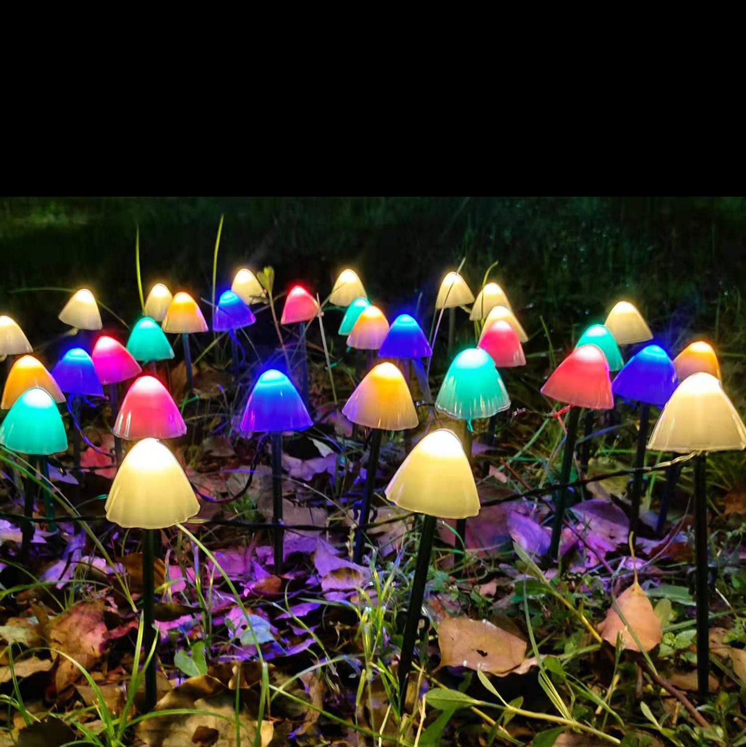 蘑菇灯和菌伞灯图片