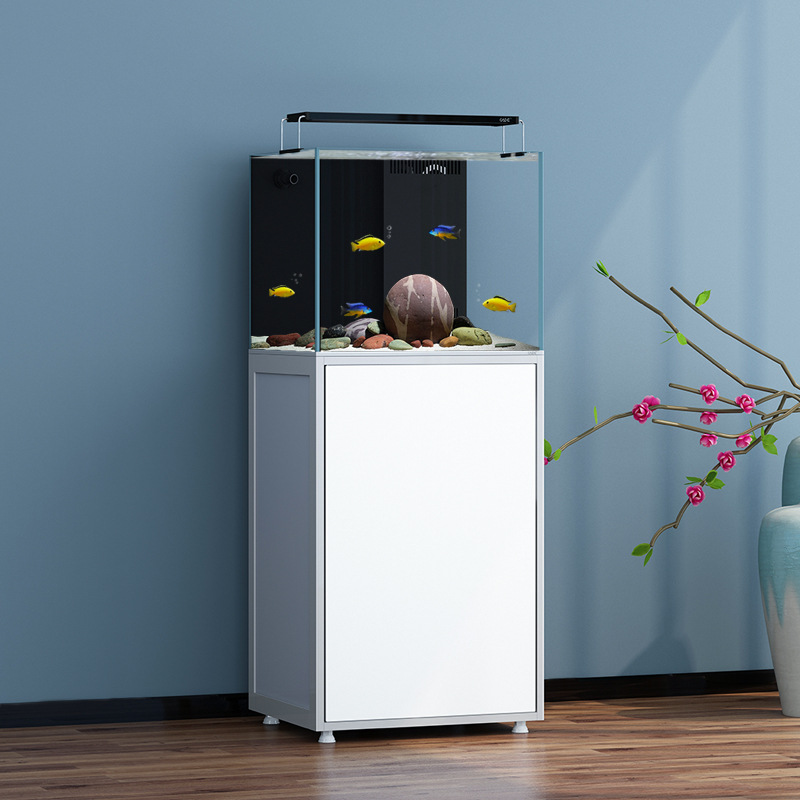 彩蝶超白鱼缸水族箱客厅静音小型生态底滤2021新款免换水