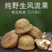 风流果广西新货石头产地直发精选益肾子泡酒料双肾阴阳子一件代发