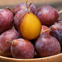 新鲜澳洲进口西梅水果正宗当季整箱甜李子5斤法兰西大西梅礼盒3
