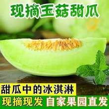 玉菇甜瓜蜜瓜10斤新鲜水果批发当季脆茹香瓜哈密瓜羊角蜜一件代发