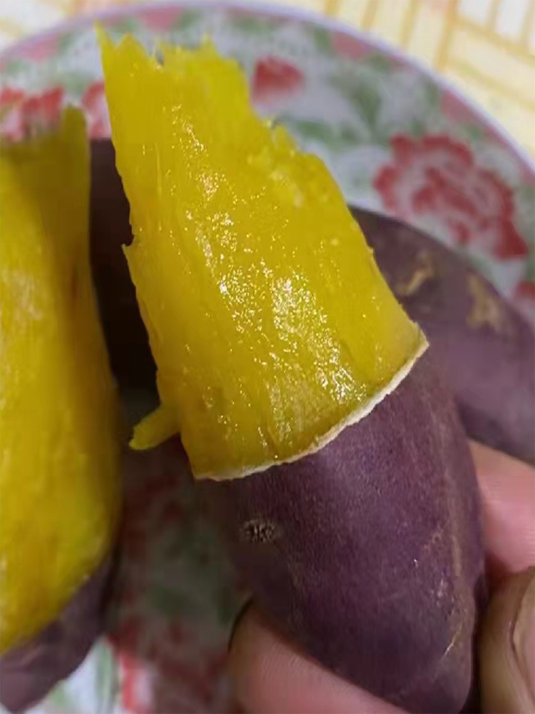 玛莎莉蜜薯苗 黄金红薯苗 农科院番薯苗脱毒地瓜苗原种糖心山芋秧