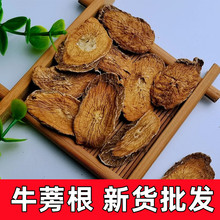 黄金牛蒡茶正品包邮非特级牛旁茶的功效牛磅茶叶牛膀非野生养生茶