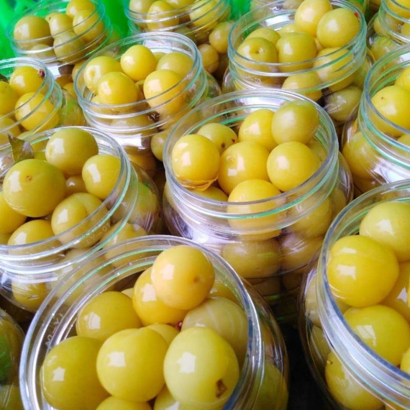 广西特产腌制青李子三华李水果酸甜脆爽孕妇吃货珍珠三华李