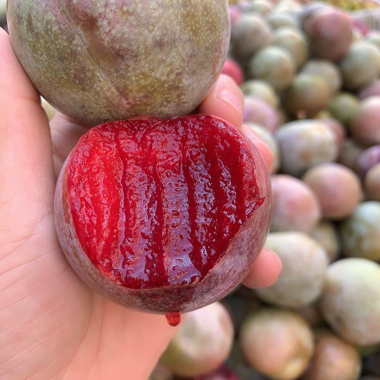 5斤25个左右大个红心李子绿皮红肉新鲜摘-阿里巴巴