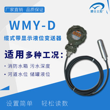 WMY-D缆式带显示液位变送器/扩散硅静压/投入式液位控制器厂家