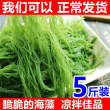 绿豆25kg食用海藻龙须菜5斤新鲜海海藻菜石花菜凉菜火锅菜食材1斤