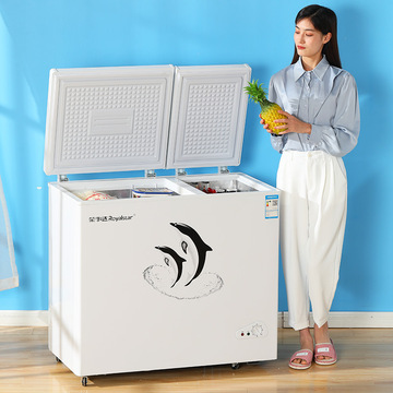 冰柜家用冷柜冷冻冷藏柜双温双门两用商用冷冻柜速冻批发保险柜