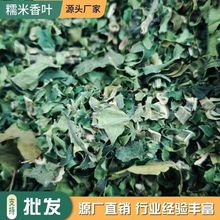 供应糯香草茶现货散装干品糯米香叶批发带梗香包原料云南糯米香叶