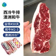 现货澳洲谷饲和牛西冷牛排原切M2-3冷冻去骨牛肉203厂进口批发