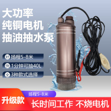 大功率抽柴油泵 水泵 12V24V220伏抽油加油机电动油抽子小型