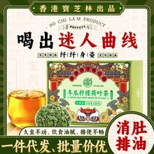 宝芝林18味材料清香柠檬冬瓜荷叶茶养生茶盒装袋泡茶花茶非脂流茶