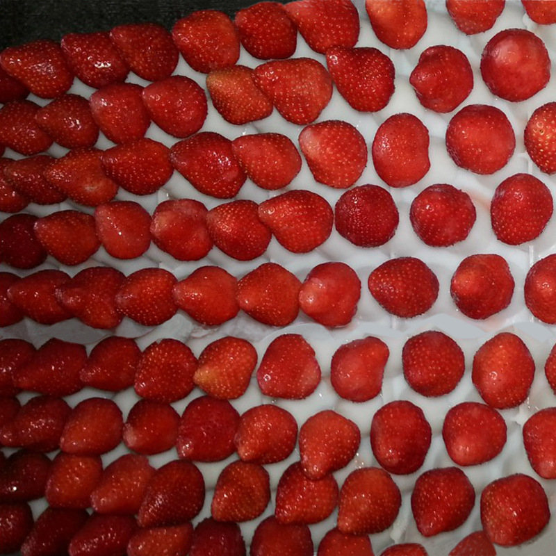 速冻空心草莓烘培蛋糕装饰草莓草莓冰激凌用原料奶油草莓原料