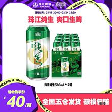 珠江纯生啤酒500mL*12罐装 产生啤酒黄啤听装整箱易拉罐鲜啤酒