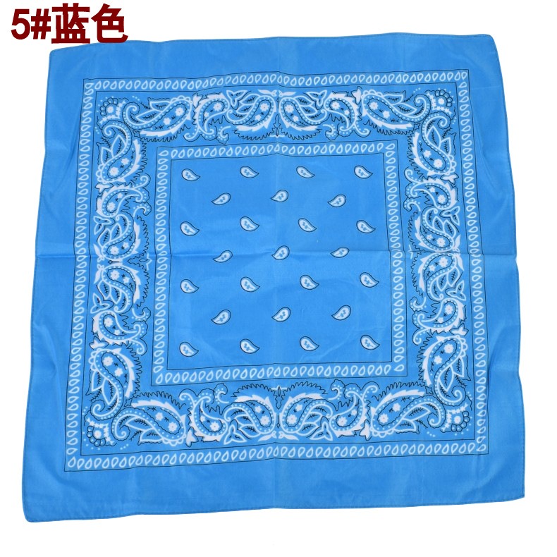 European and American Polyester Paisley Hiphop Scarf Multi-Functional Cycling Mask Printed Small Square Scarf Scarf Wholesale