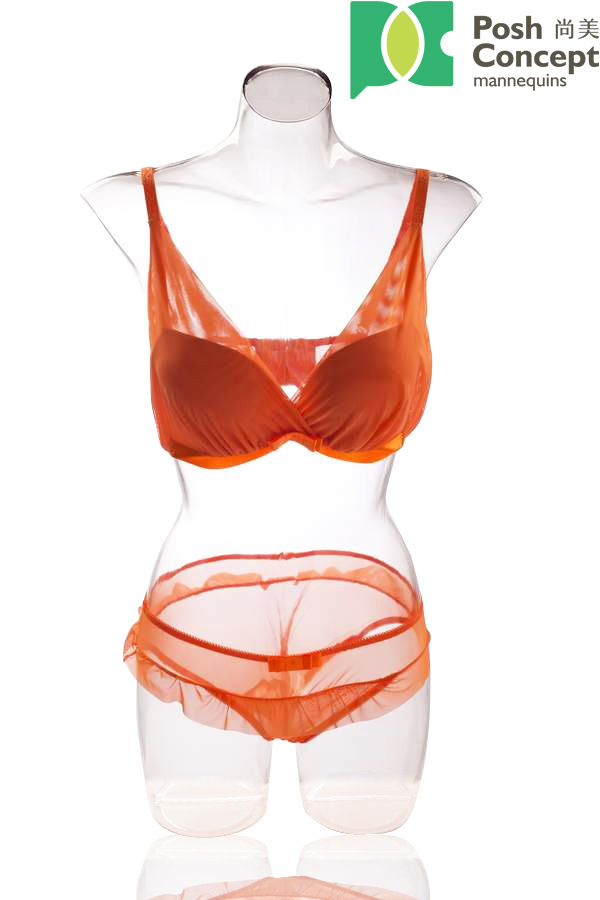 现货塑料透明女胸模内衣胸模 pc透明模特道具 新款模特厂家直销